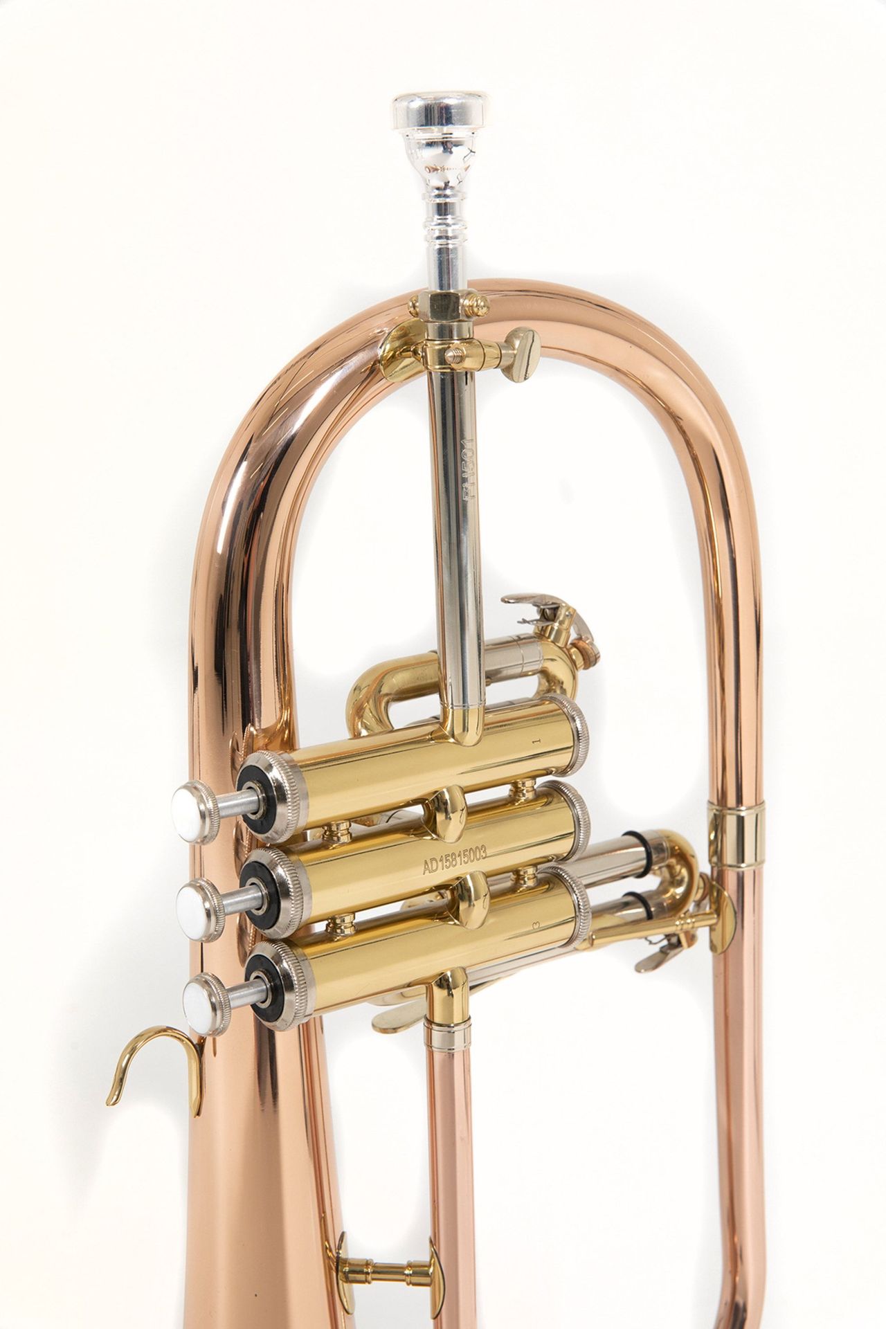 Bach FH501 B-Flügelhorn Goldmessing, Etui + Zubehör