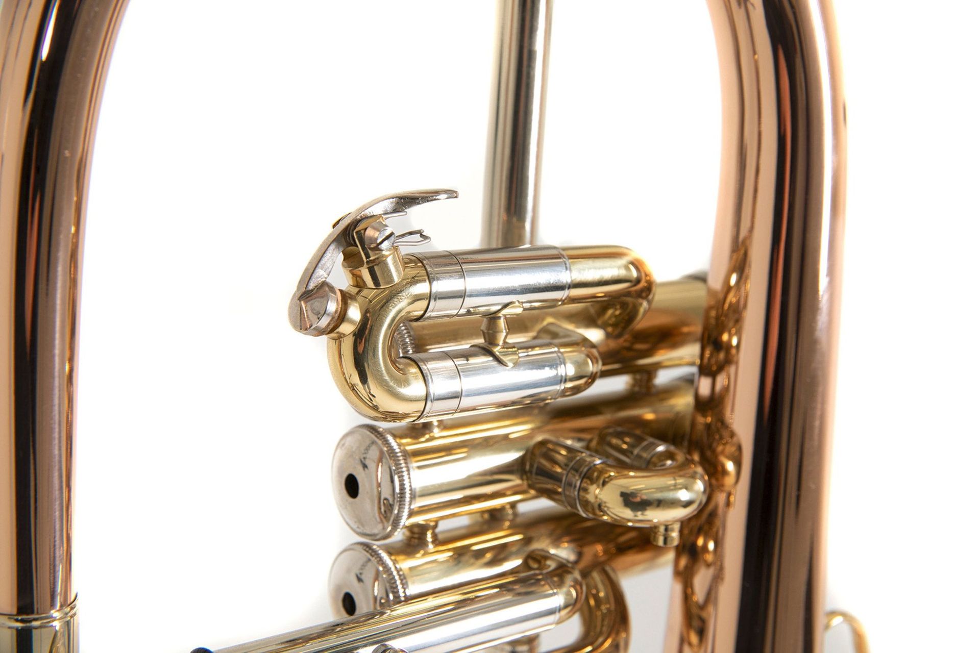 Bach FH501 B-Flügelhorn Goldmessing, Etui + Zubehör