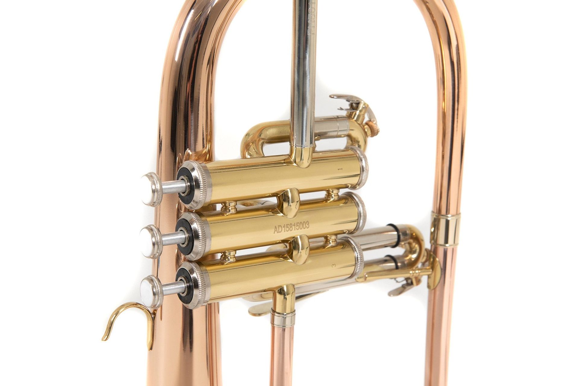 Bach FH501 B-Flügelhorn Goldmessing, Etui + Zubehör
