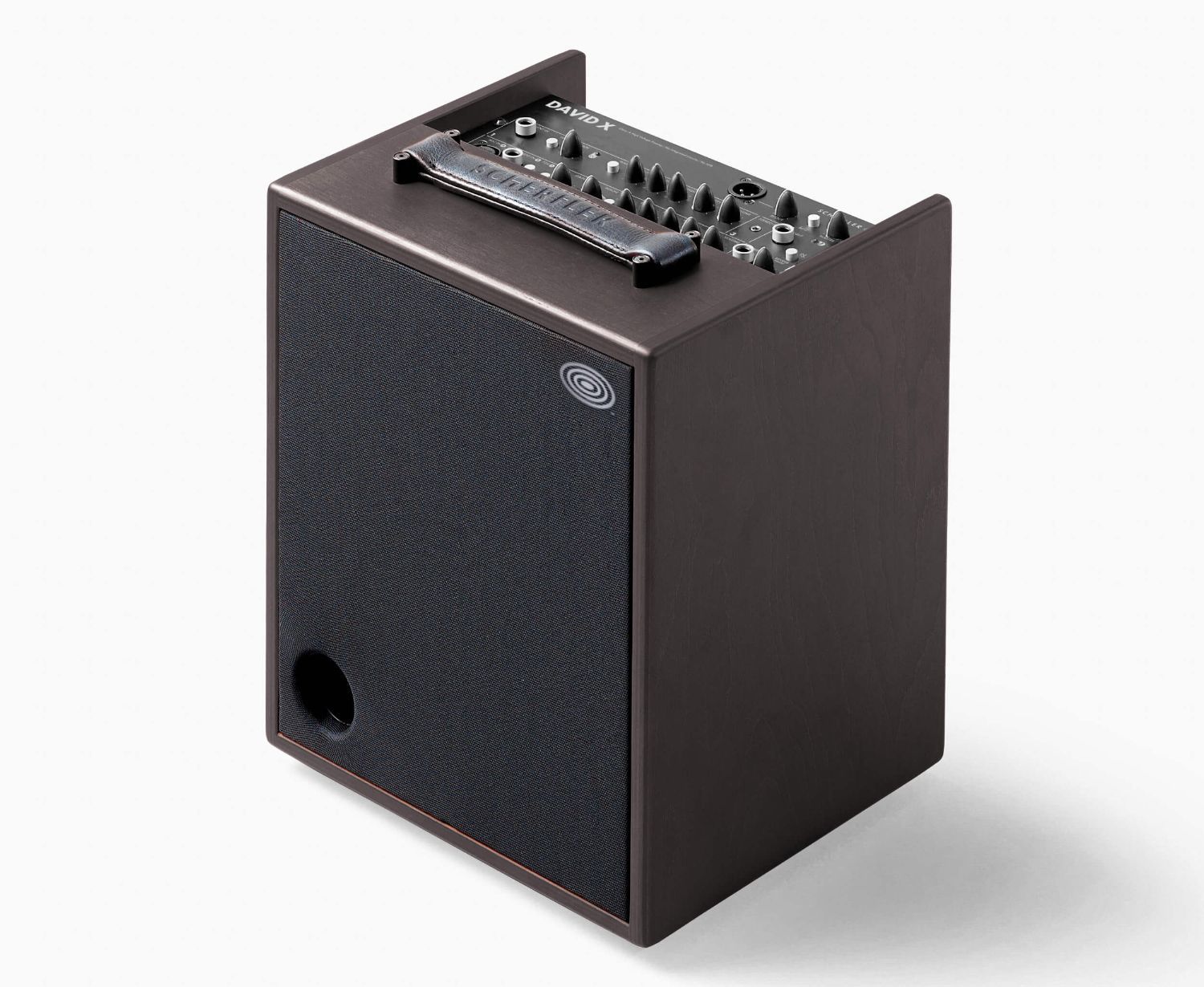 Schertler David-X Wood 120 Watt Akustikverstärker in Holzoptik 