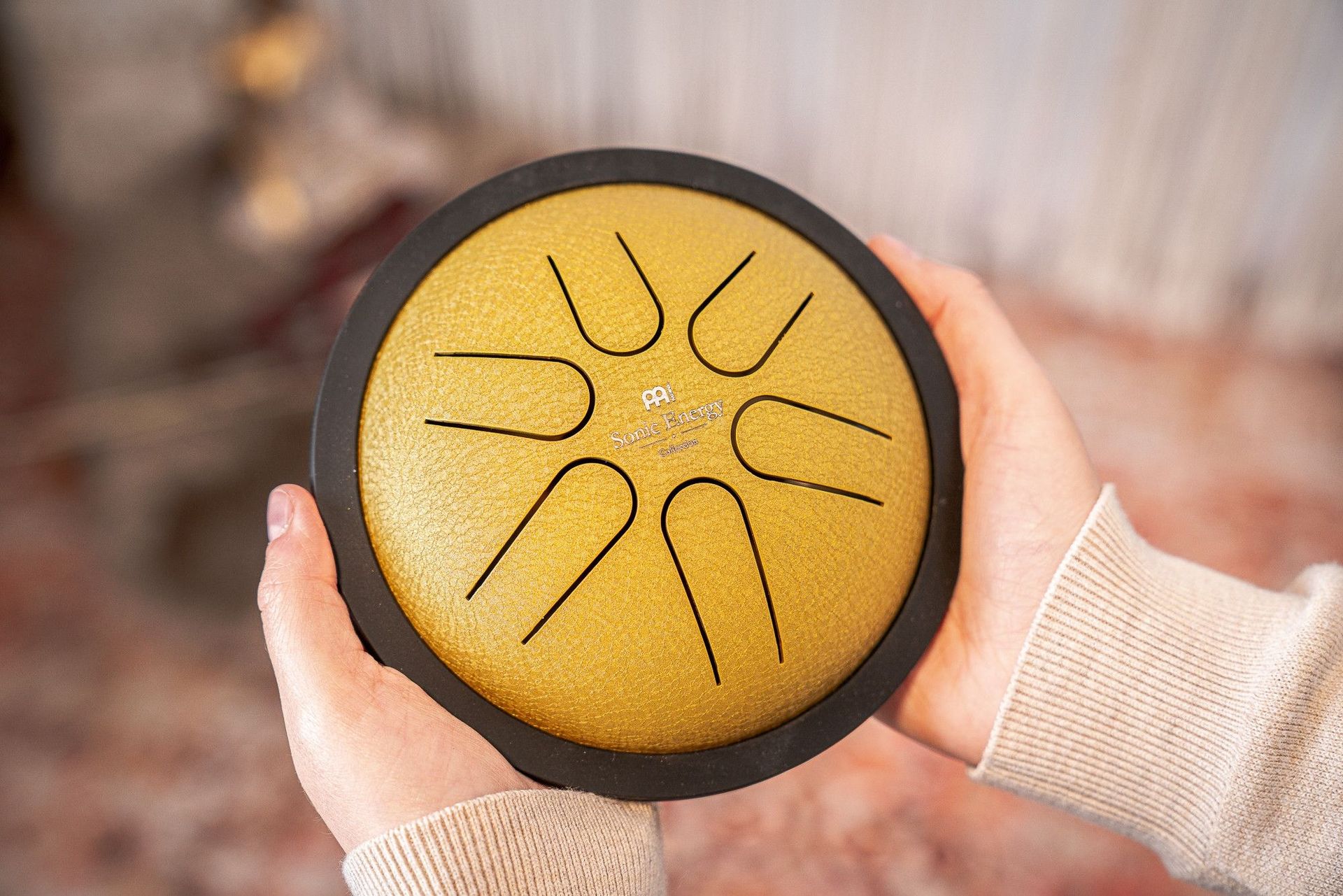 MEINL MSTD3G Sonic Energy Mini Steel Tongue Drum